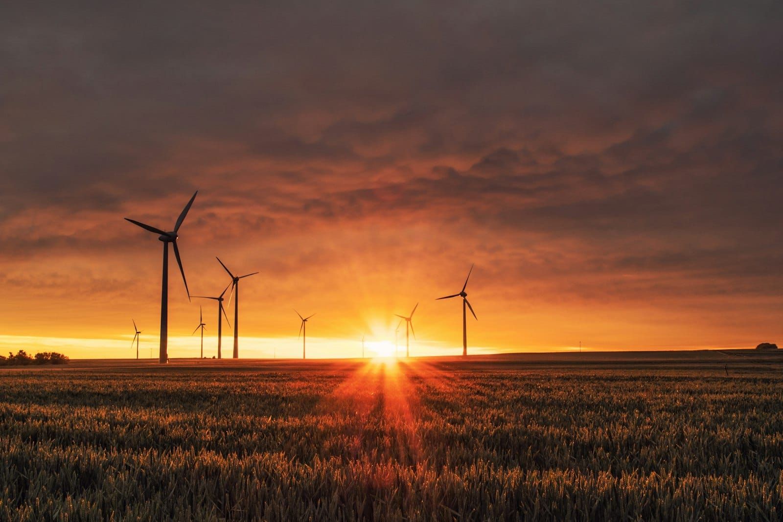Wind turbines silhouetted against a golden sunset