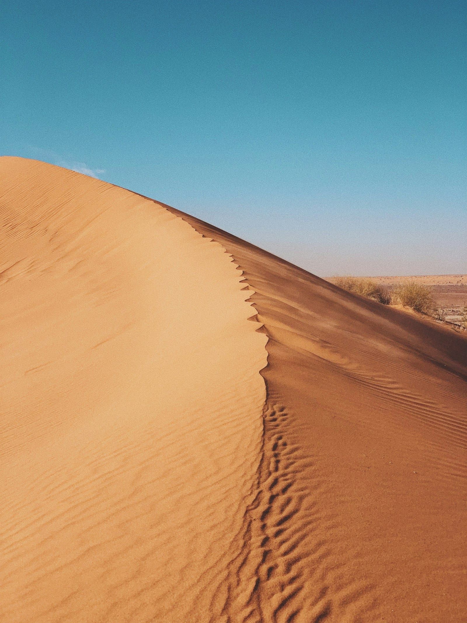 A red sand dune of the Simpson Desert under a clear blue sky