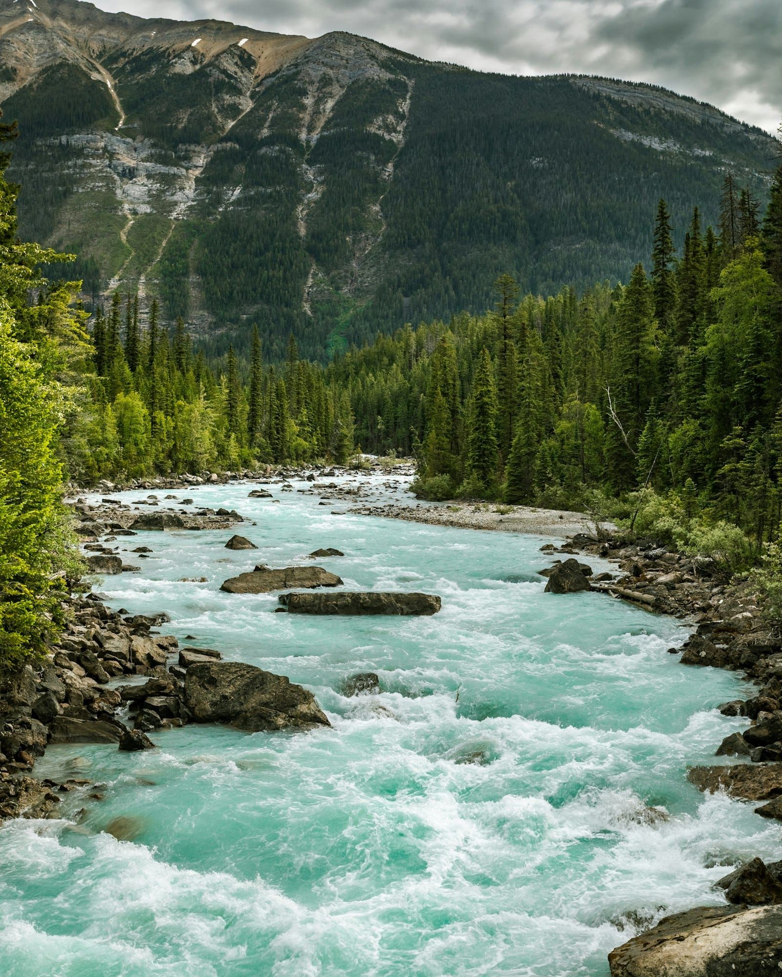 A wild turquoise river running free through forested mountains