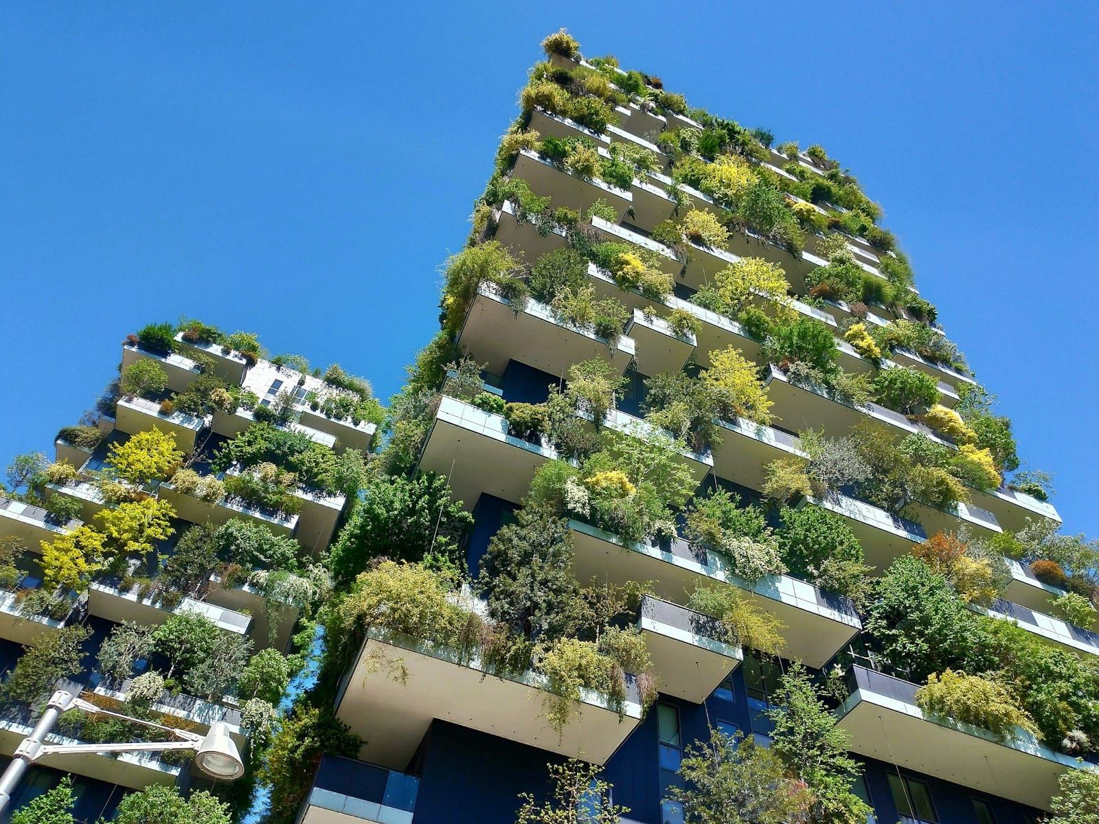 Milan's Bosco Verticale towers, their balconies filled with trees and shrubs against a deep blue sky