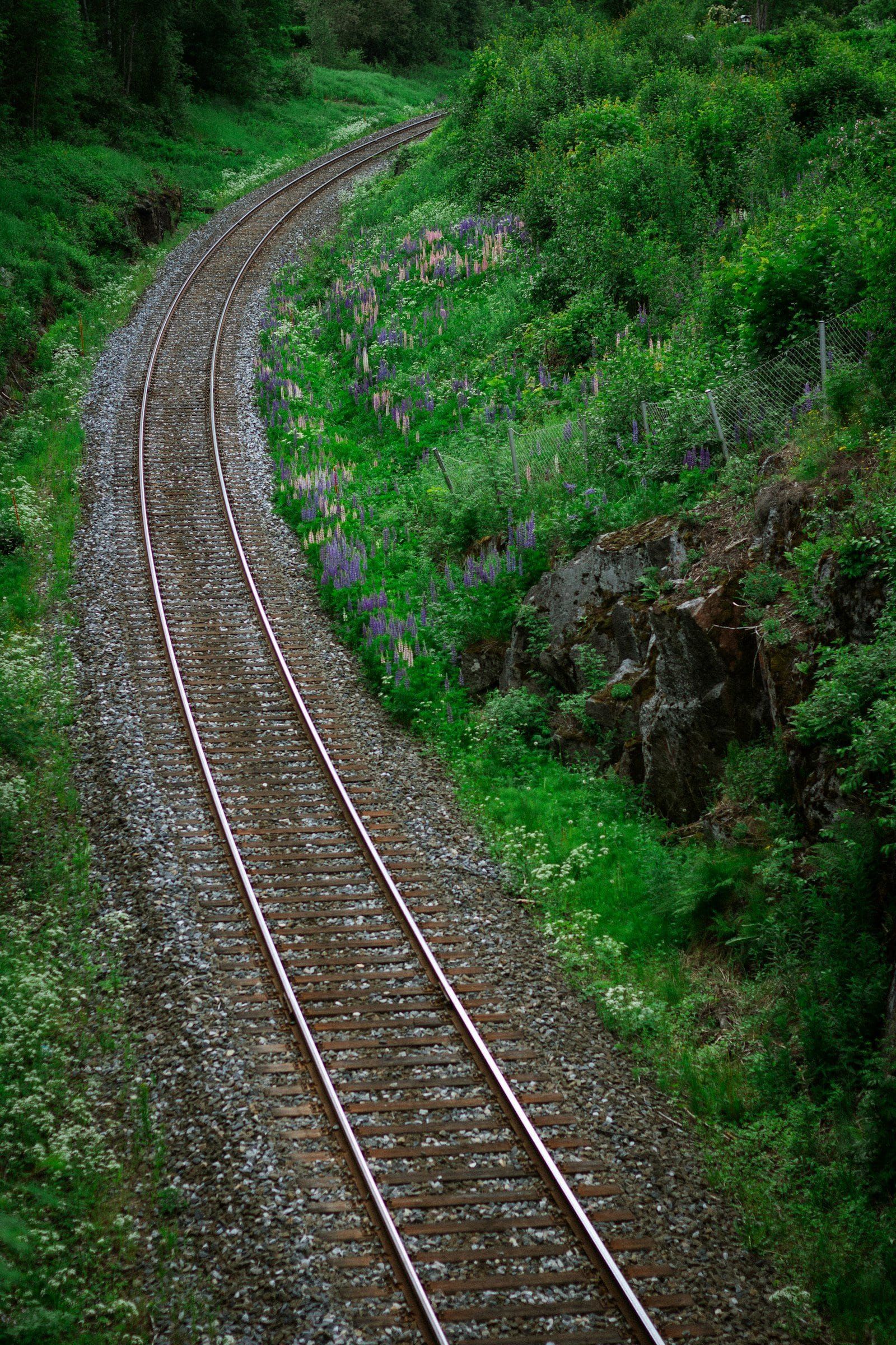 A single railway track curving through lush green countryside