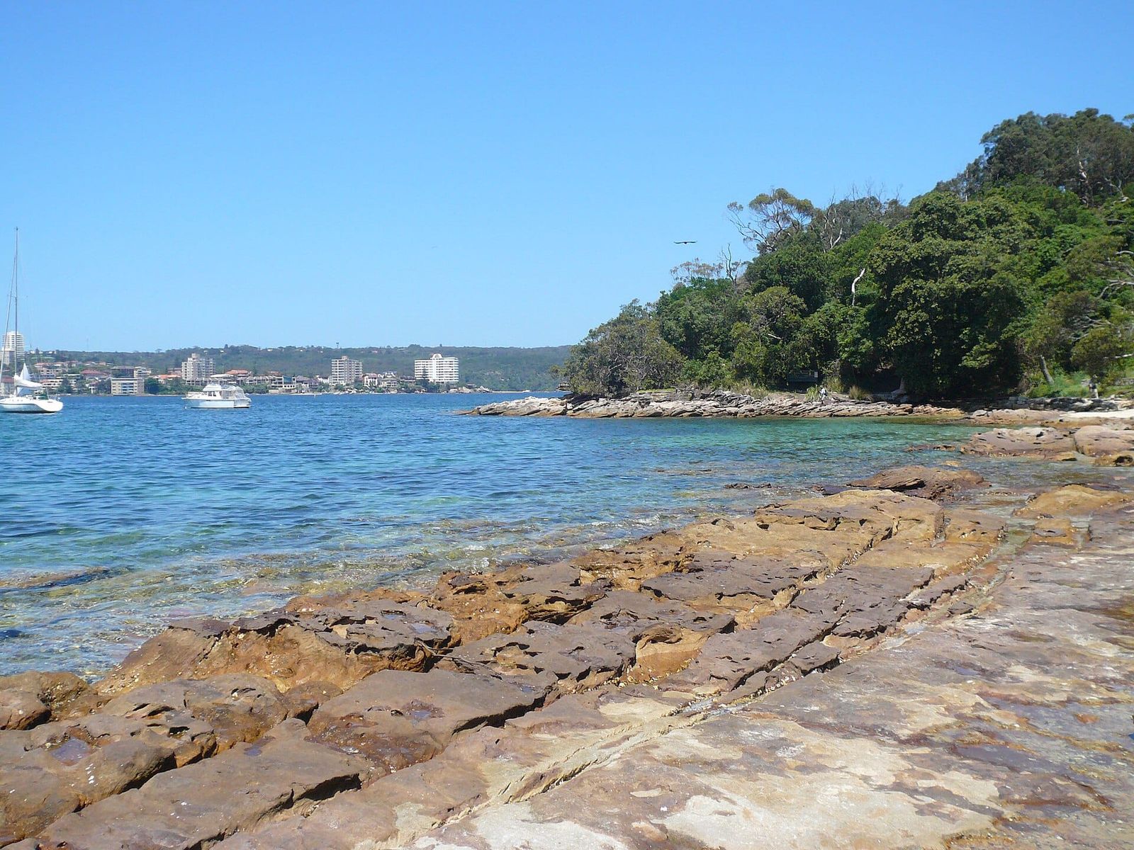 Reef Beach, Sydney