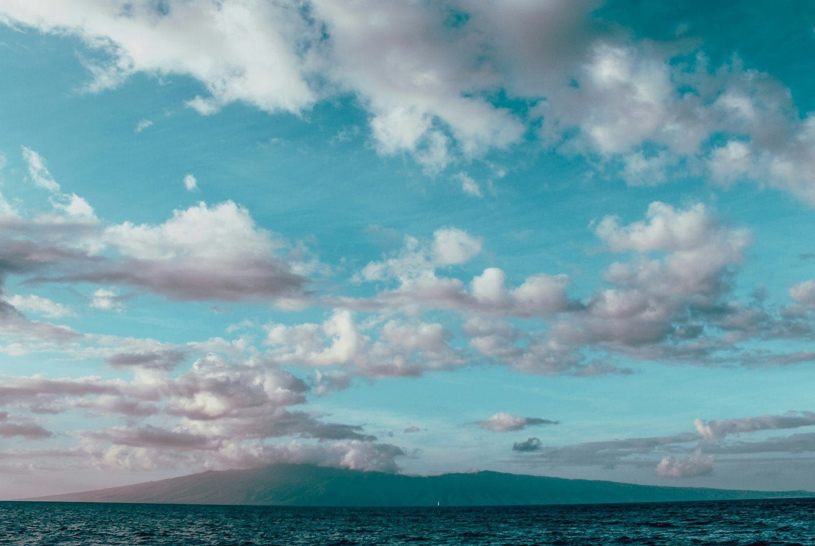 Soft white clouds drifting over a calm teal sea, a stand in image, not the reef trials themselves