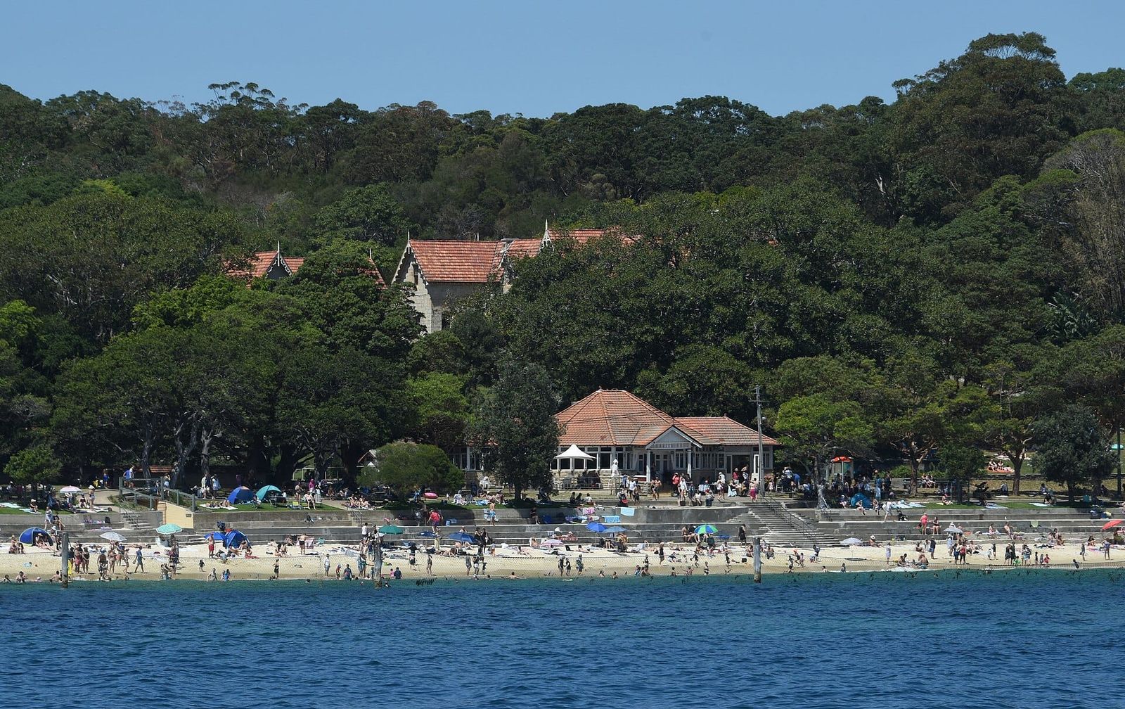 Shark Beach (Shark Bay), Sydney