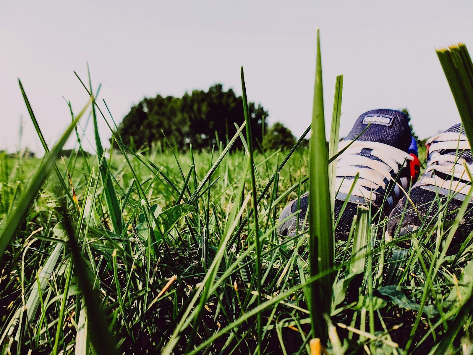 A pair of sneakers left behind in long green grass under a bright sky, their owner gone barefoot