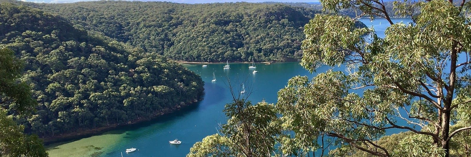 Towlers Bay on Pittwater, near Portuguese Beach, Sydney