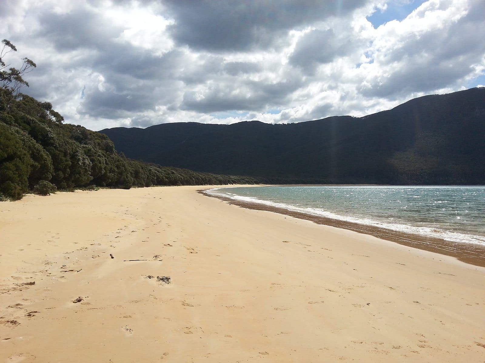 Sealers Cove beach and forest, Wilsons Promontory