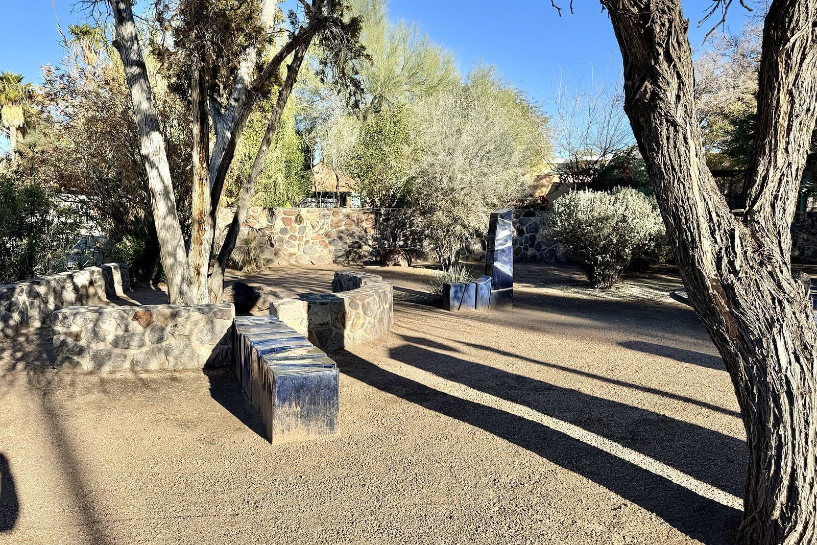 Mesquite trees casting long shadows across a gravel garden with stone benches in Tucson, Arizona