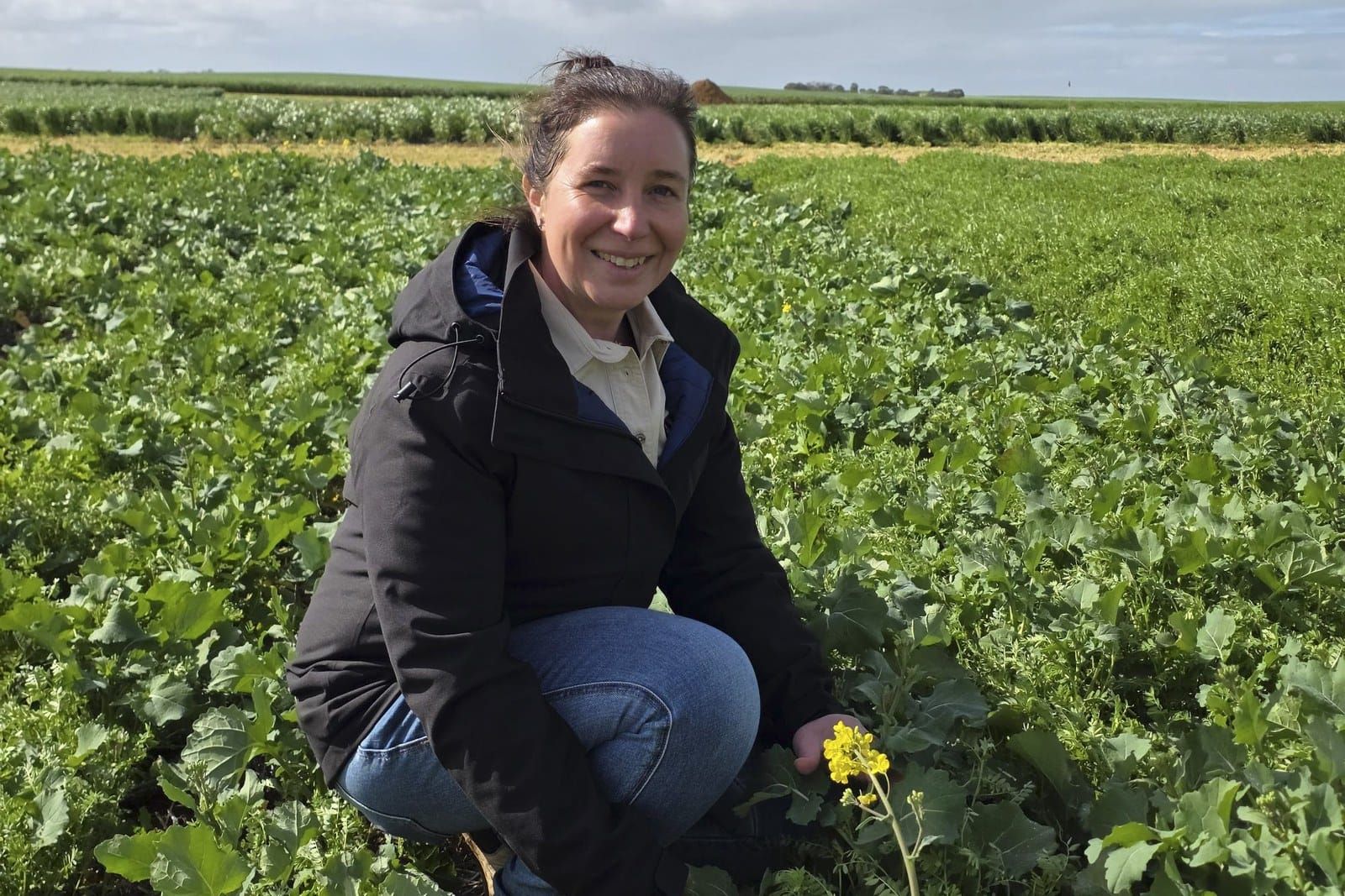 A woman in a cap standing in a green crop trial plot