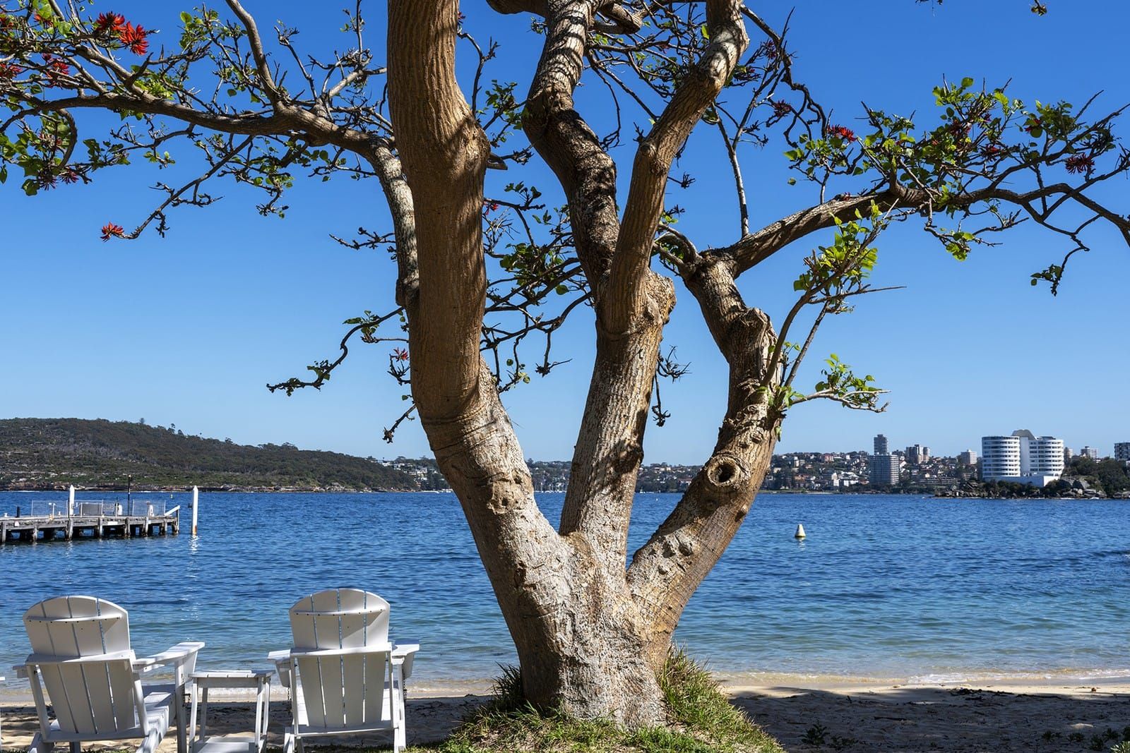 Quarantine Beach