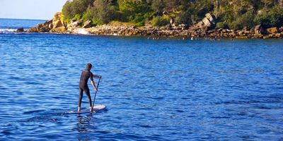 Shelly Beach and Cabbage Tree Bay