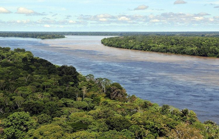 Aerial view of the Amazon river winding through unbroken rainforest