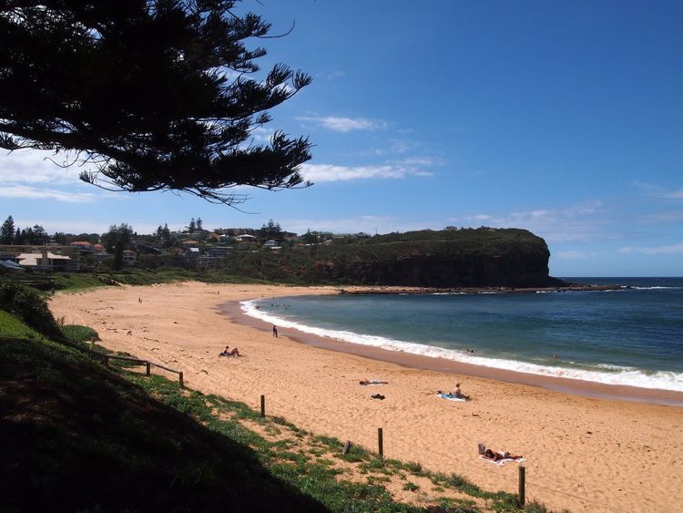Basin Beach (Bongin Bongin Bay), Sydney