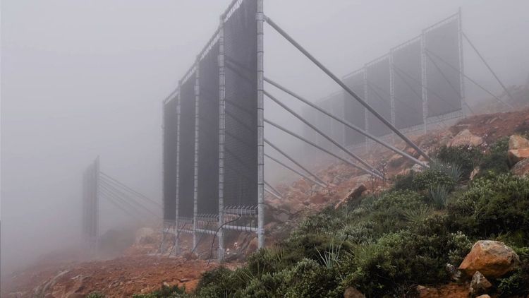 Rows of fog catching nets standing in the mist on a Chilean hillside