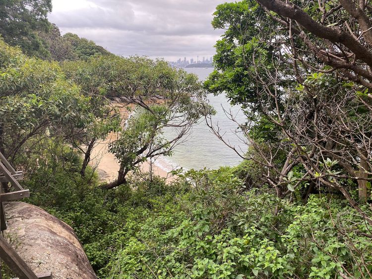 Lady Bay Beach, Sydney