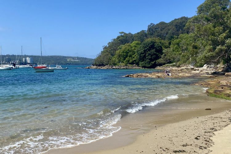 Forty Baskets Beach, Sydney