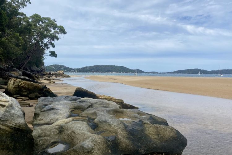 Great Mackeral Beach, Sydney