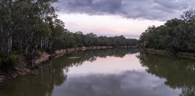The Murray River at dusk near Tocumwal, still water holding a pink sky between banks of river red gums