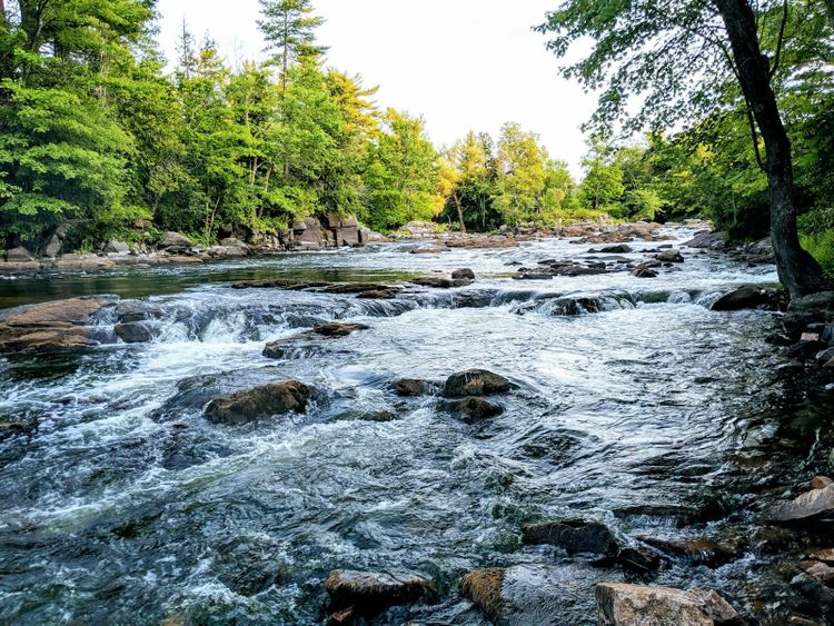 A clear river running fast over rocks between green wooded banks
