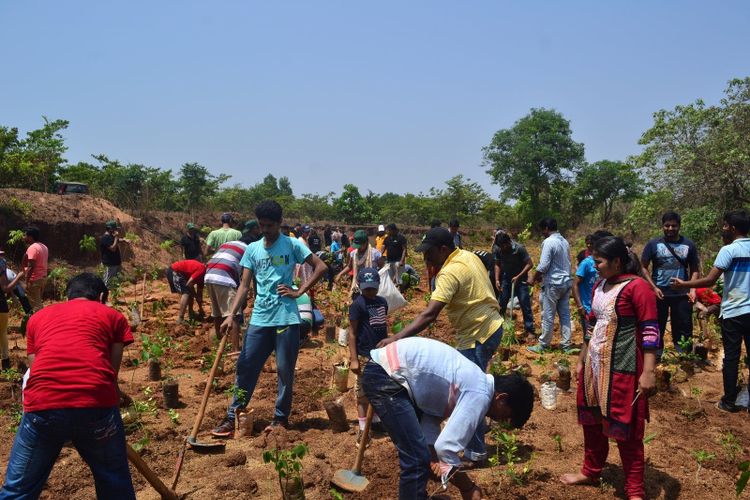 A Miyawaki pocket forest planting day at Hanji Farms in India, run by Green Saviours; a stand in for the SUGi projects in the story