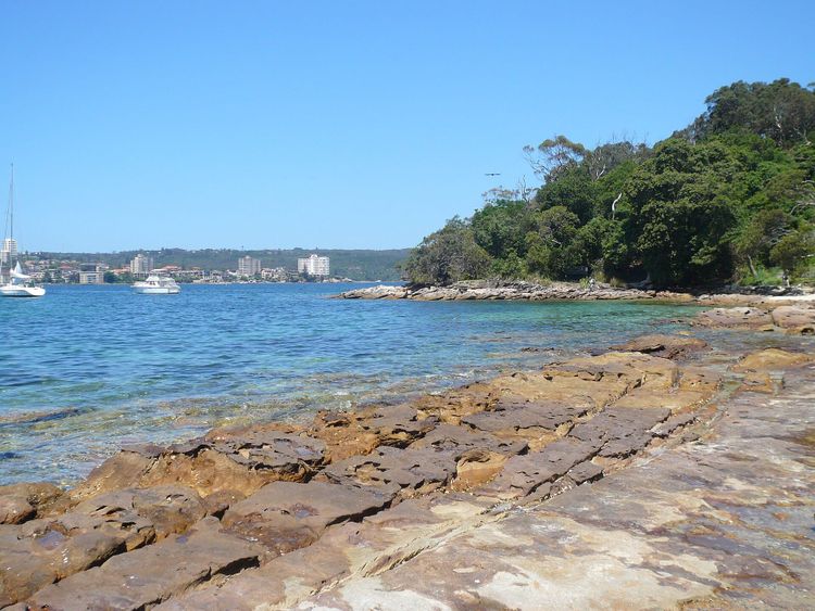 Reef Beach, Sydney