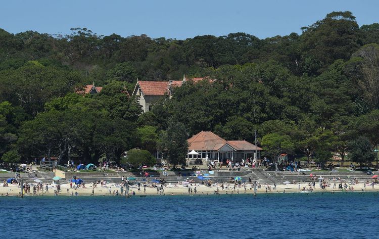 Shark Beach (Shark Bay), Sydney