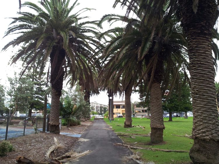 Shelly Beach (Cronulla), Sydney