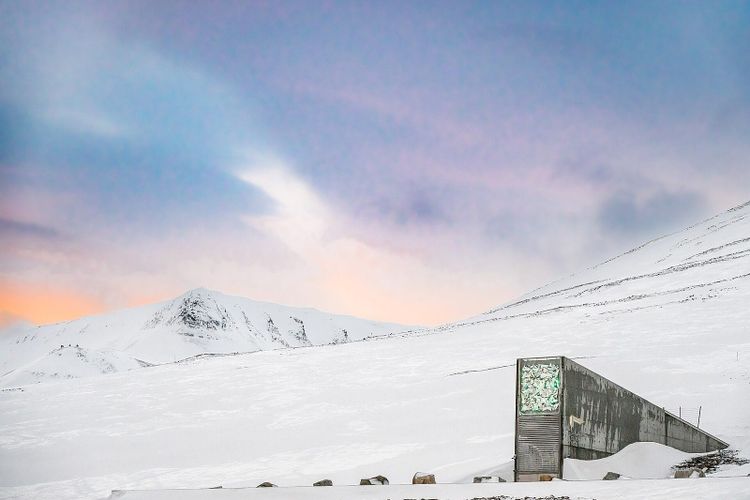 The entrance to a seed vault built into a snow covered Arctic mountainside