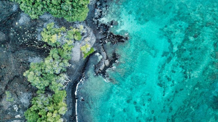 A forested headland meeting clear blue sea, seen from above.