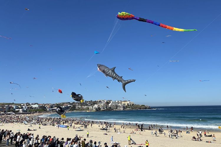 Shark and rainbow kites flying over a crowded Bondi Beach at the Festival of the Winds