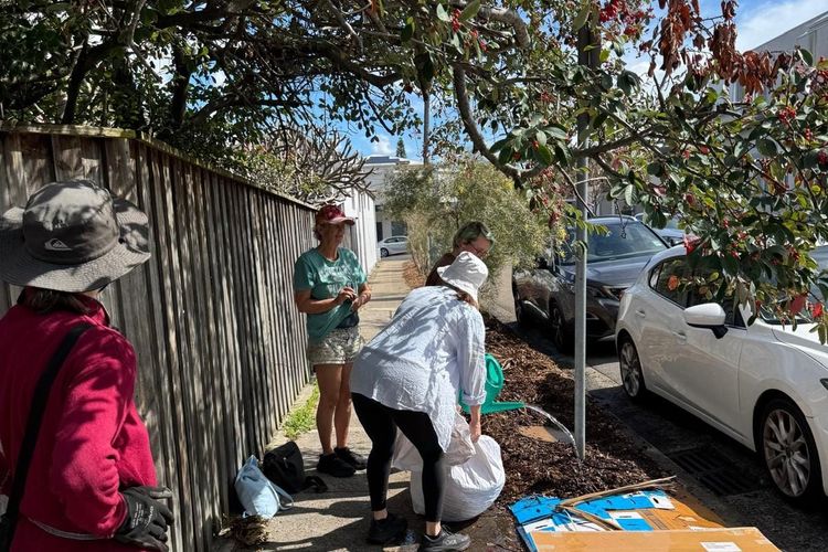 Transition Bondi volunteers preparing a verge garden in Bondi