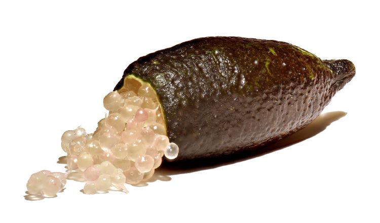 Australian finger limes cut open to show the pearls inside