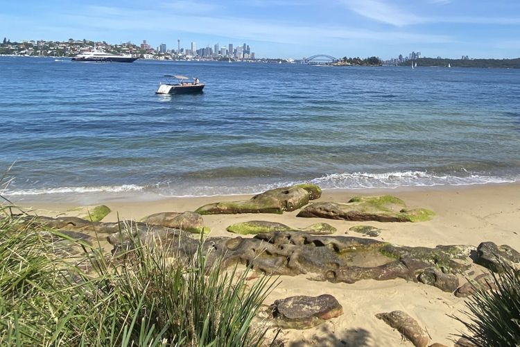 Queens Beach, Sydney