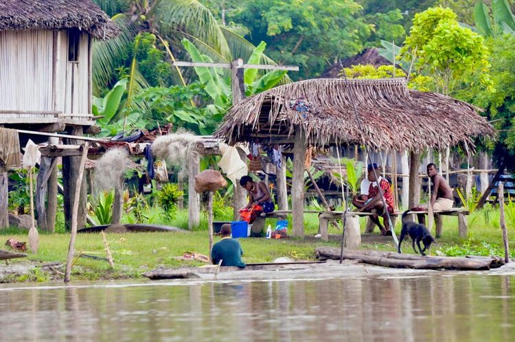 A village on the Sepik River, Papua New Guinea