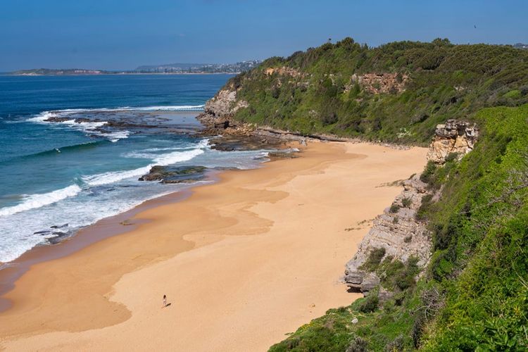 Turimetta Beach and its headland at first light, Sydney Northern Beaches