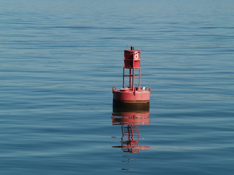 A red marine buoy on calm water