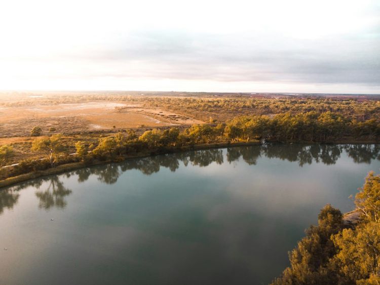 The Murray River near Renmark, South Australia