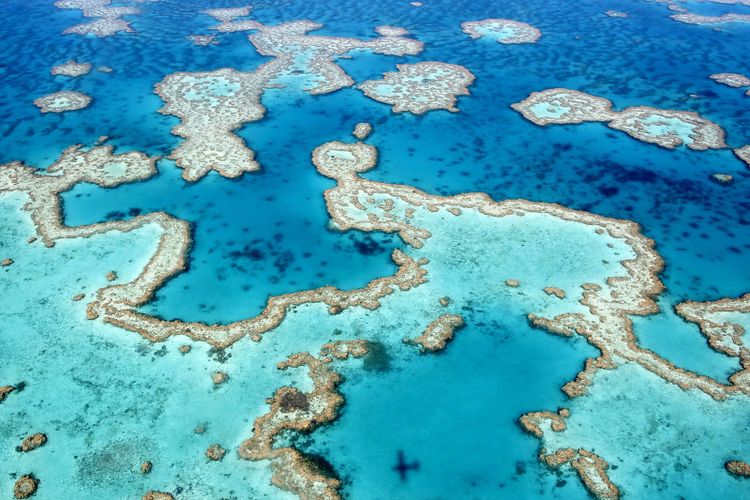 Aerial view of turquoise reef shallows and deep blue water on the Great Barrier Reef