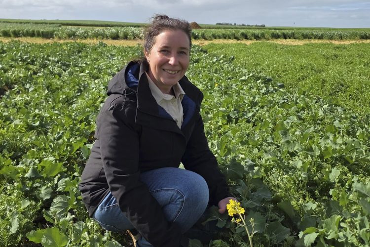 A woman in a cap standing in a green crop trial plot
