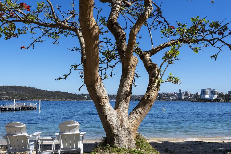 Quarantine Beach