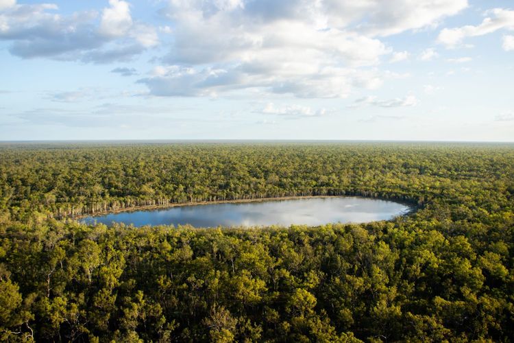 A lagoon ringed by green woodland seen from the air, Kendall River Station