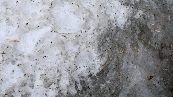 Disgusting, wrecked up and dirty snow 