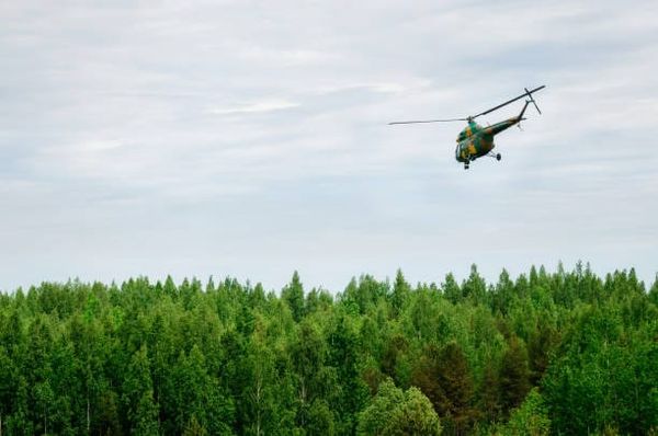 A helicopter flying over some trees.