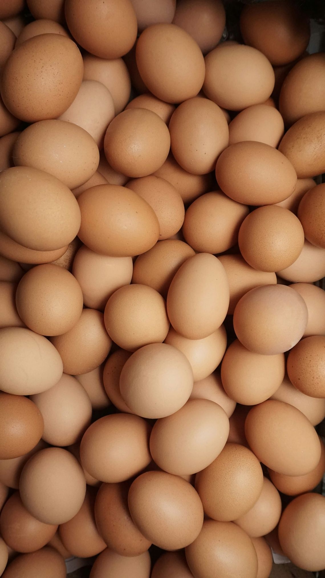 Cash Cow: How the Maternal Body Became a Global Commodity–and the Hidden Costs for Women by Alev Scott, Harper Collins, February 26, 2026