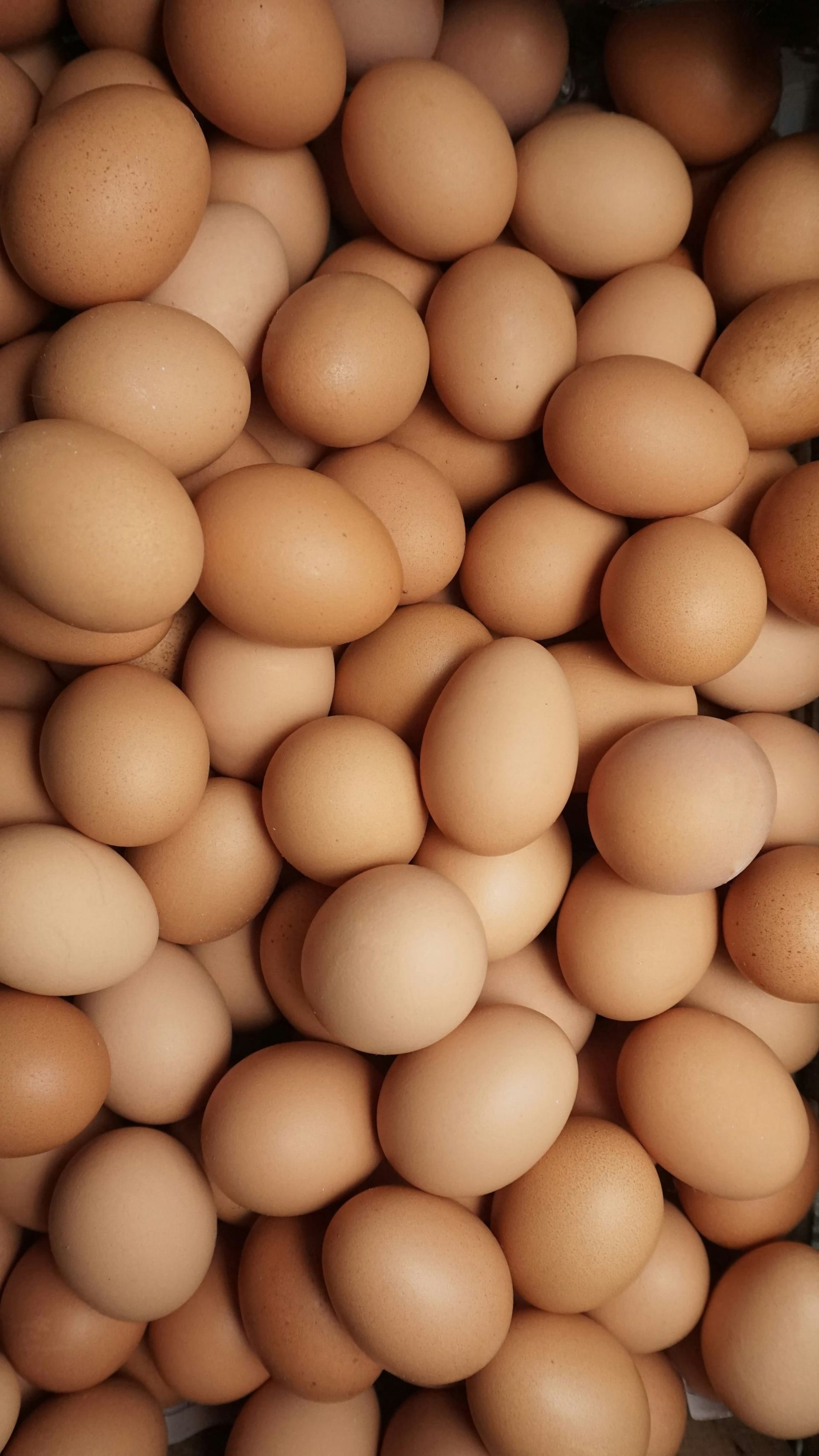 Cash Cow: How the Maternal Body Became a Global Commodity–and the Hidden Costs for Women by Alev Scott, Harper Collins, February 26, 2026