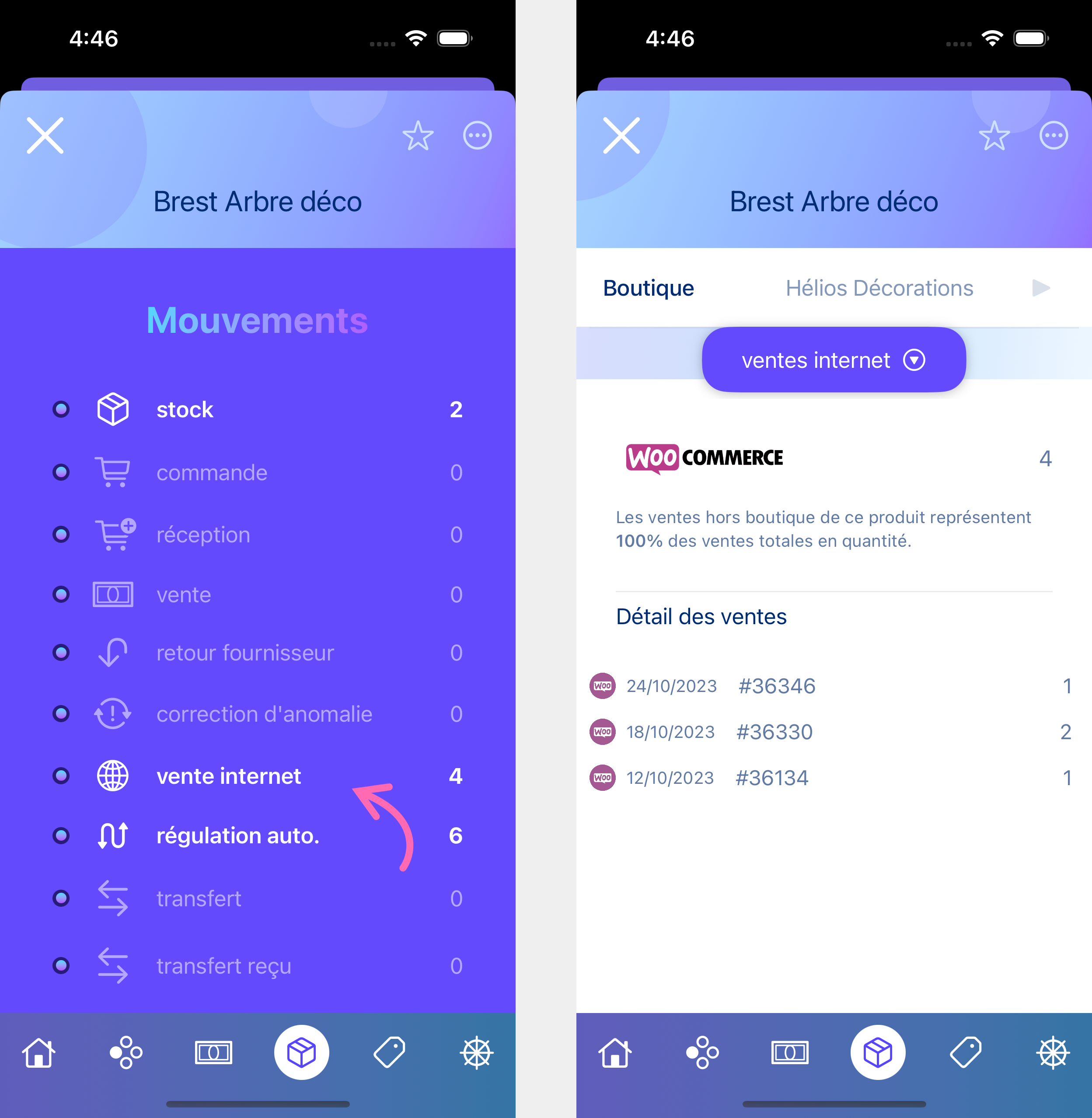 Visualiser ventes WooCommerce dans mouvements