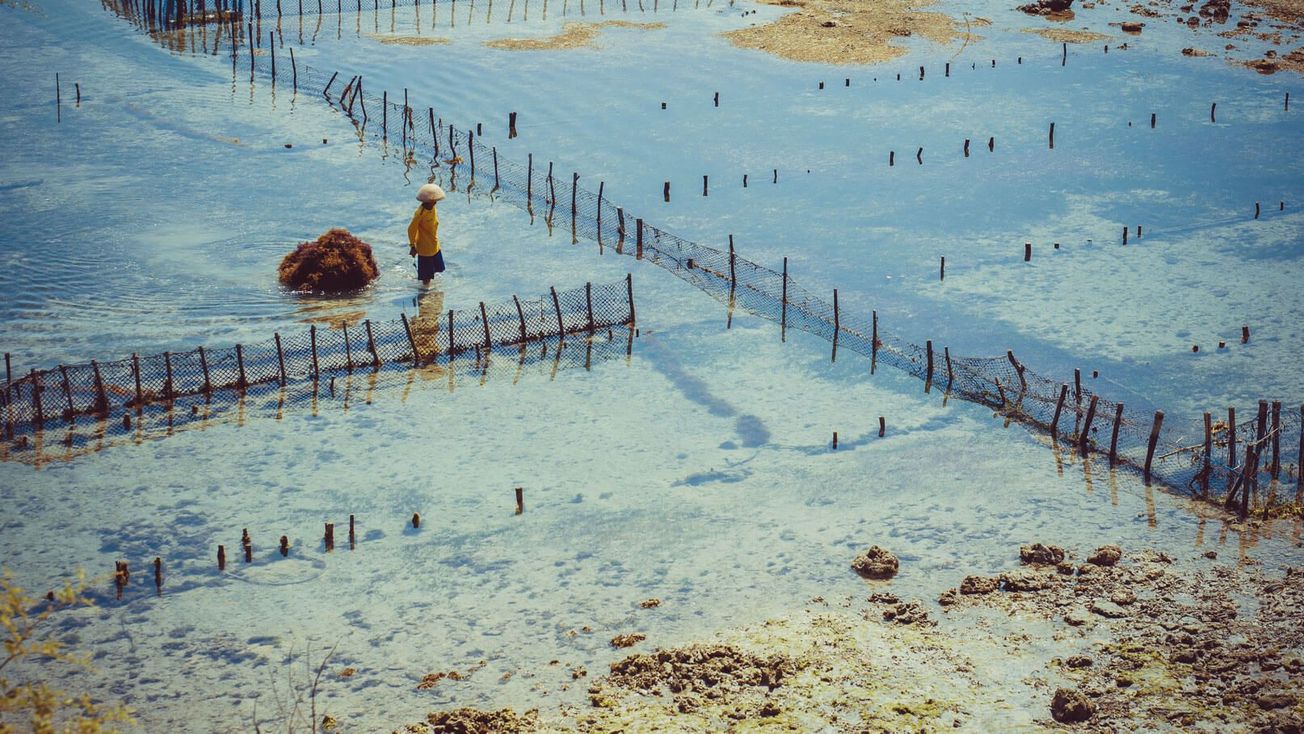 UNSW Centre for Sustainable Development Reform supports global movement towards more sustainable ocean management