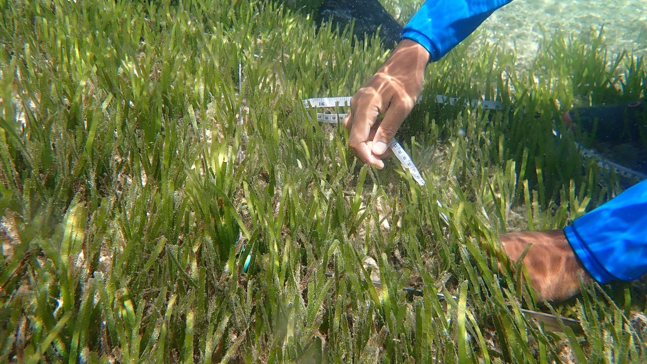 Global Technical Guidance on Ocean Accounting for Sustainable Development