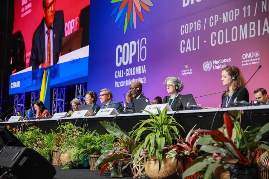 CBD COP16: A Tale of Two Spaces - Side Events Soar While Negotiations Stall
