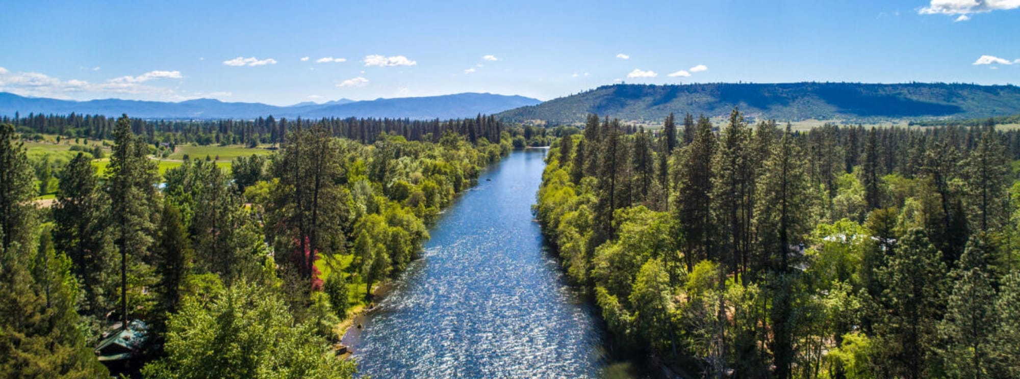 Stunning image of the Rogue River in Medford, Oregon. Beautiful Douglas Firs line the banks of the river from the bottom to the top of the image. 